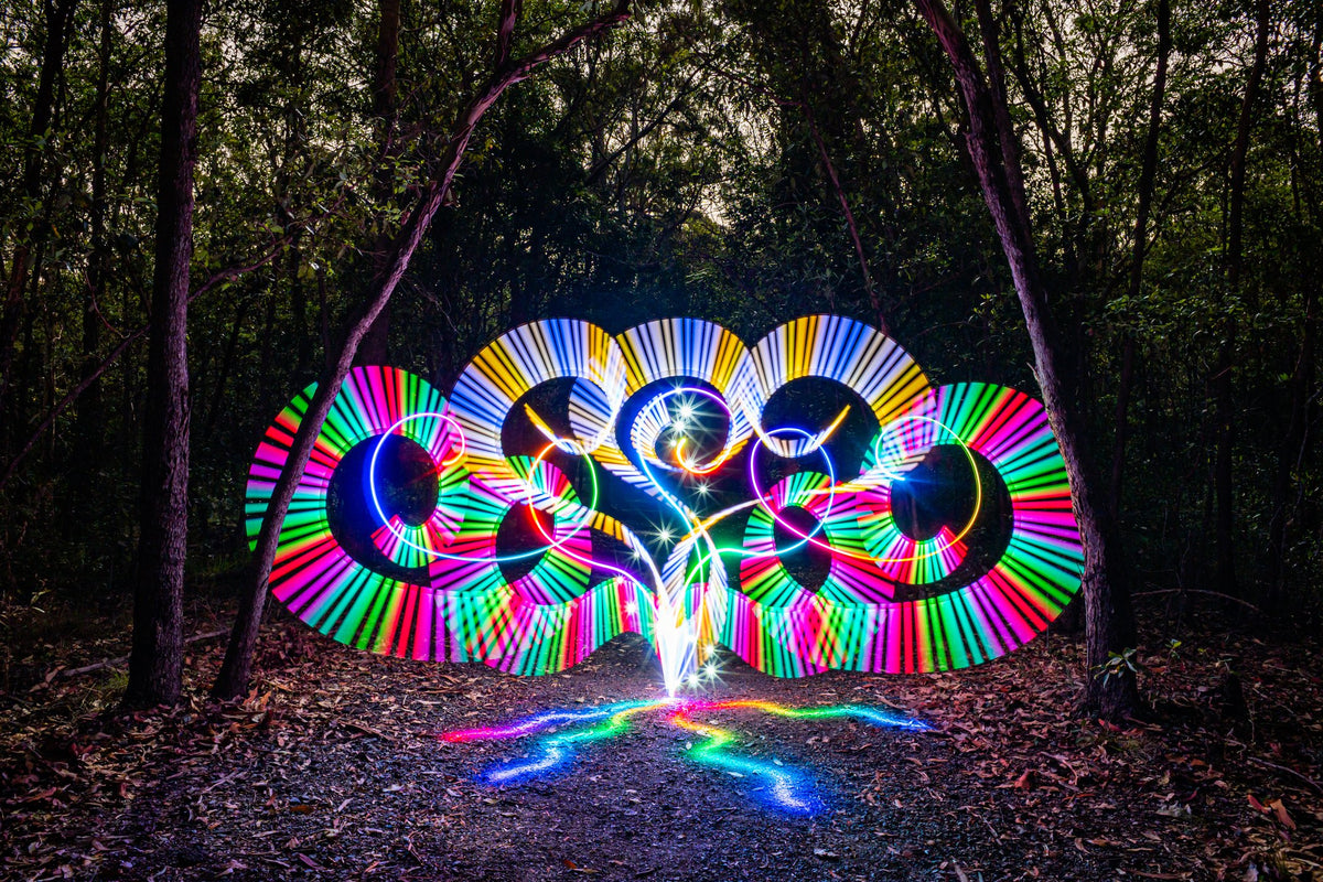 Long exposure light painting by Stephen Knight in a forest at night
