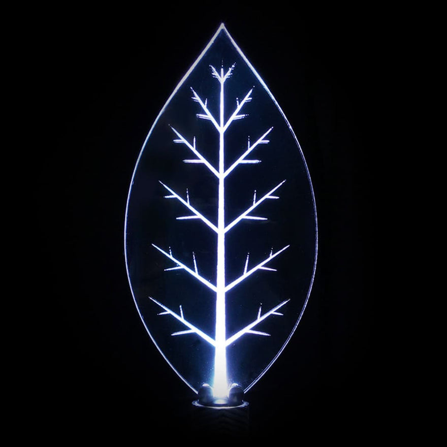 Foglia Pro acrylic light painting blade with leaf-inspired shape for soft, elegant trails in long exposure photography