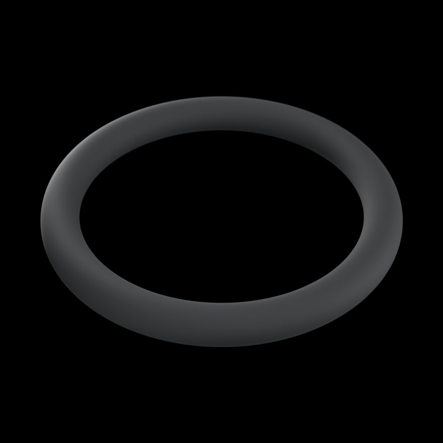 O-Ring, rendered from the production CAD on black.