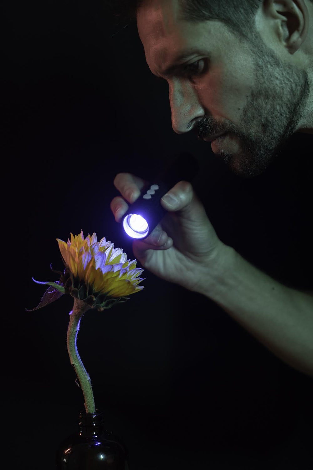 Light painting a flower by hand with the RGB Critter BT flashlight