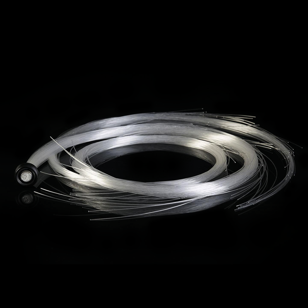 bitwhip