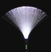 Fiber optic light